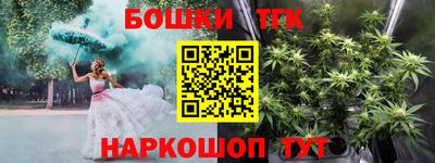 тгк Камышлов